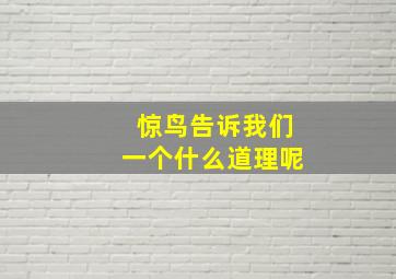 惊鸟告诉我们一个什么道理呢