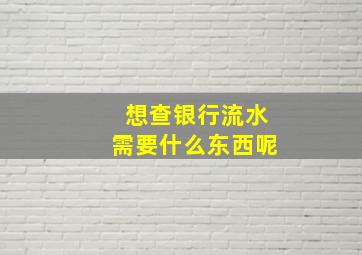 想查银行流水需要什么东西呢