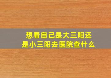 想看自己是大三阳还是小三阳去医院查什么