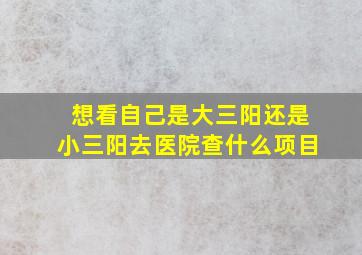 想看自己是大三阳还是小三阳去医院查什么项目