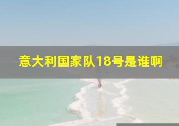 意大利国家队18号是谁啊