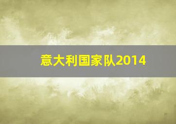 意大利国家队2014