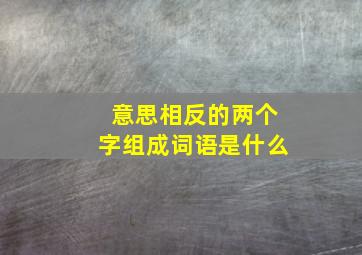 意思相反的两个字组成词语是什么