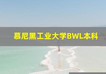 慕尼黑工业大学BWL本科