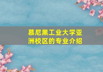 慕尼黑工业大学亚洲校区的专业介绍