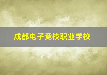 成都电子竞技职业学校