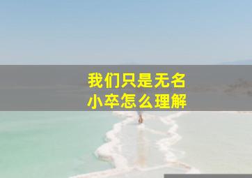 我们只是无名小卒怎么理解