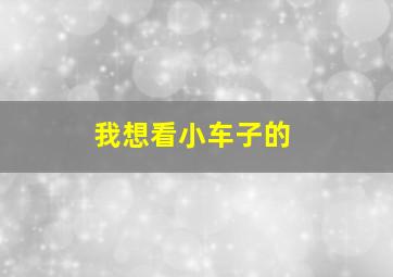 我想看小车子的