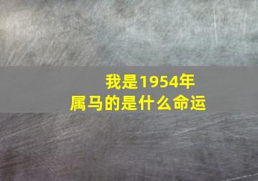 我是1954年属马的是什么命运