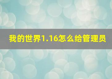 我的世界1.16怎么给管理员