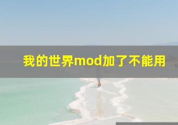 我的世界mod加了不能用