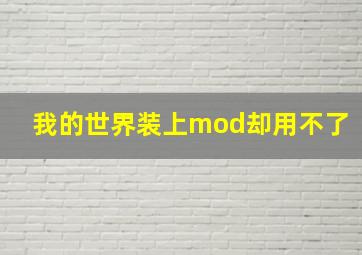 我的世界装上mod却用不了