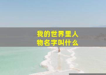 我的世界里人物名字叫什么