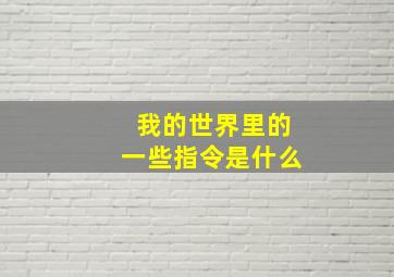 我的世界里的一些指令是什么