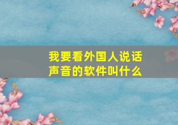 我要看外国人说话声音的软件叫什么