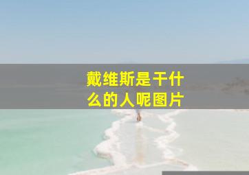 戴维斯是干什么的人呢图片