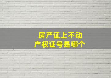 房产证上不动产权证号是哪个