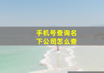 手机号查询名下公司怎么查