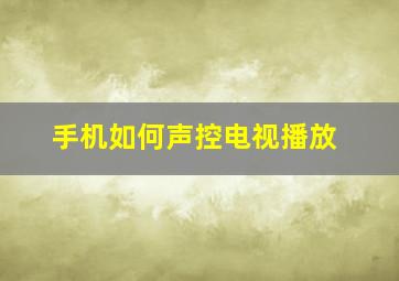 手机如何声控电视播放