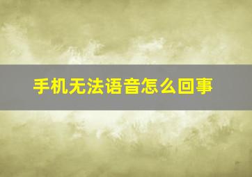 手机无法语音怎么回事