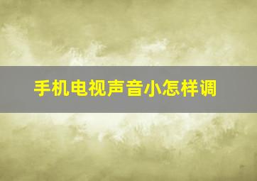 手机电视声音小怎样调