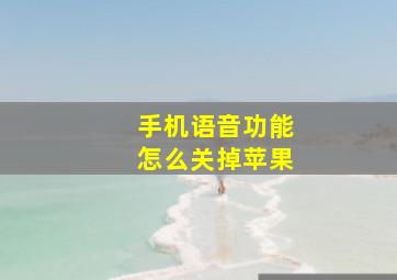 手机语音功能怎么关掉苹果