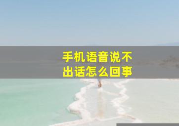 手机语音说不出话怎么回事