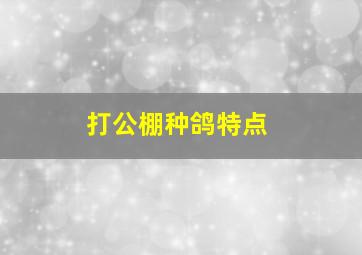 打公棚种鸽特点