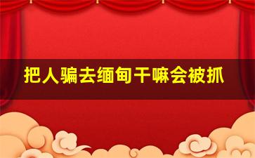 把人骗去缅甸干嘛会被抓