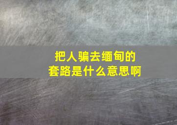 把人骗去缅甸的套路是什么意思啊