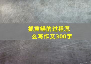 抓黄鳝的过程怎么写作文300字