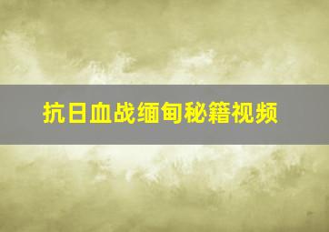 抗日血战缅甸秘籍视频