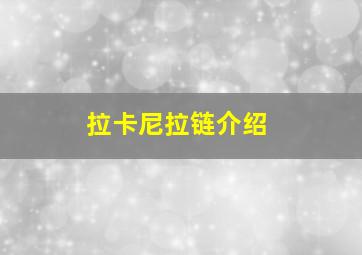 拉卡尼拉链介绍