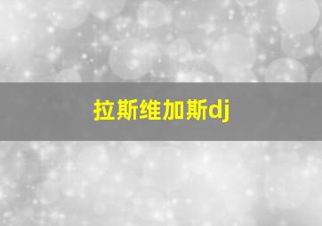 拉斯维加斯dj