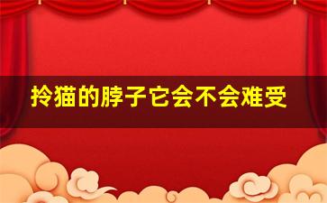 拎猫的脖子它会不会难受