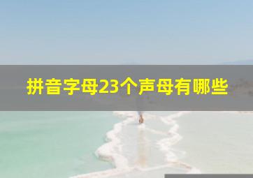 拼音字母23个声母有哪些