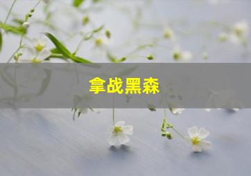 拿战黑森