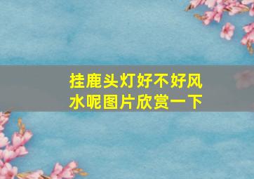 挂鹿头灯好不好风水呢图片欣赏一下