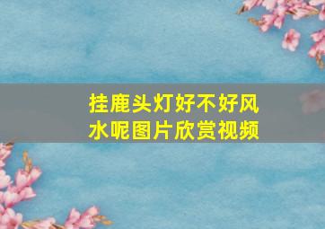 挂鹿头灯好不好风水呢图片欣赏视频