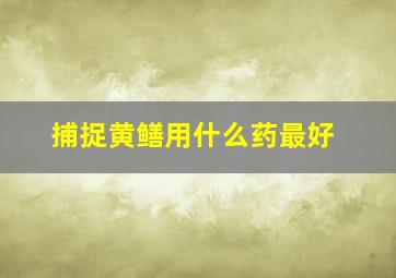 捕捉黄鳝用什么药最好