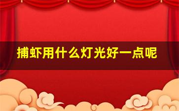 捕虾用什么灯光好一点呢