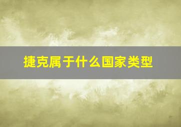 捷克属于什么国家类型