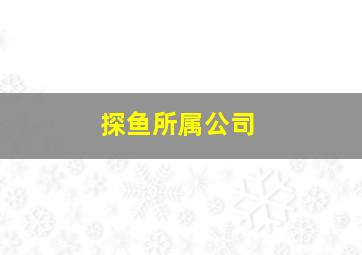 探鱼所属公司