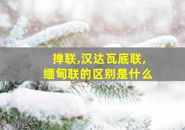 掸联,汉达瓦底联,缅甸联的区别是什么