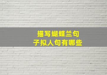 描写蝴蝶兰句子拟人句有哪些