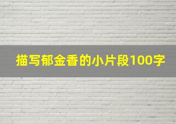 描写郁金香的小片段100字