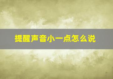 提醒声音小一点怎么说