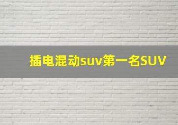 插电混动suv第一名SUV