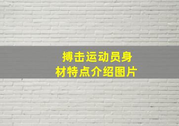 搏击运动员身材特点介绍图片