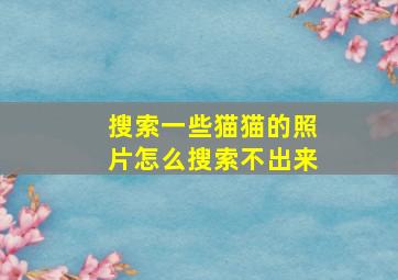 搜索一些猫猫的照片怎么搜索不出来